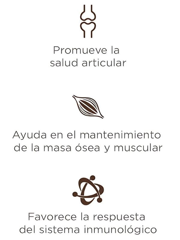 Alimento Seco Senior 8kg - Nupec