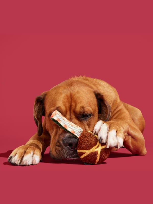 Juguete de para perro Squeaky Meat A Ball - Bark