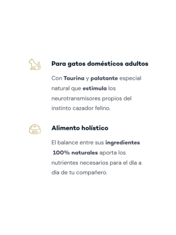 Alimento Seco Holistico Felinos 3KG Super Premium- KANTEK