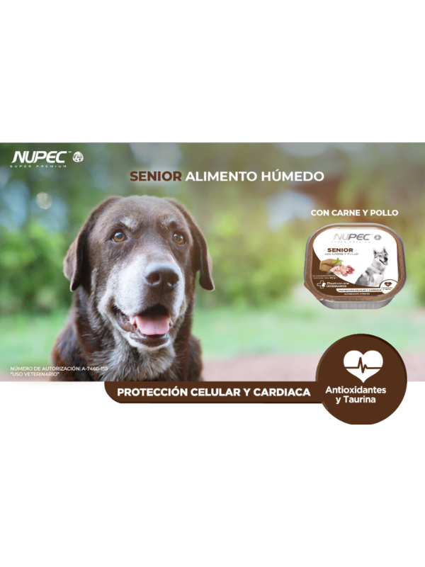 Cluster Senior 100g - Nupec