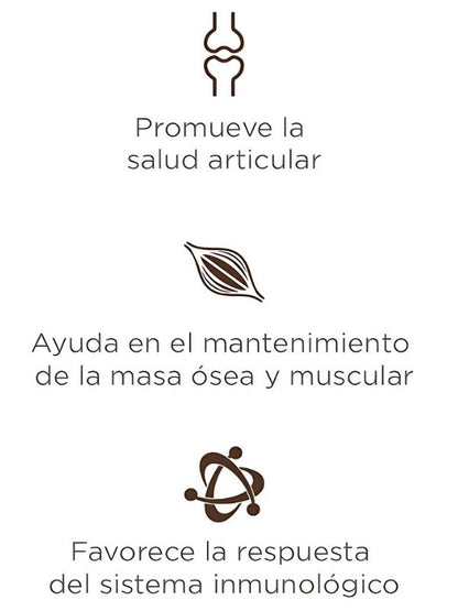 Alimento Seco Senior 2kg - Nupec