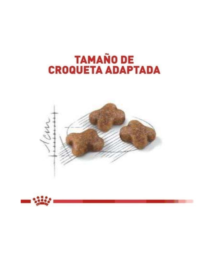 Alimento Seco para Gato Kitten (1.37kg) - Royal Canin