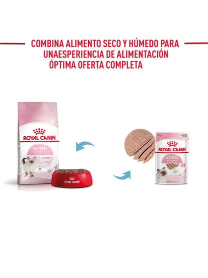 Alimento Seco para Gato Kitten (1.37kg) - Royal Canin