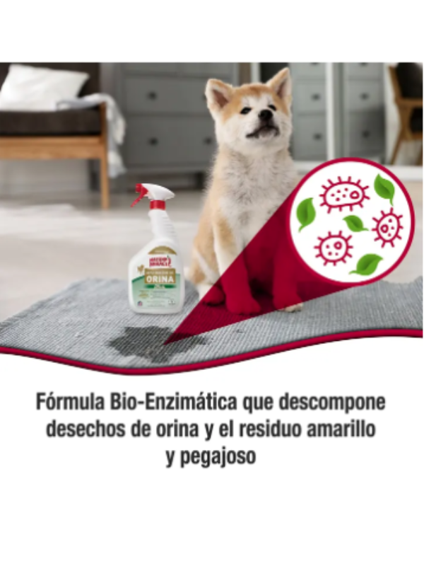 Limpiador Enzimático Destructor de Orina PLUS para Perro 946ml (32oz) - Natures Miracle