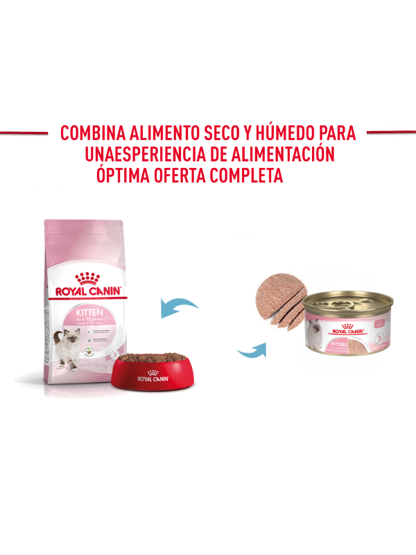 Alimento Húmedo para Gato Kitten Loaf (15g) - Royal Canin