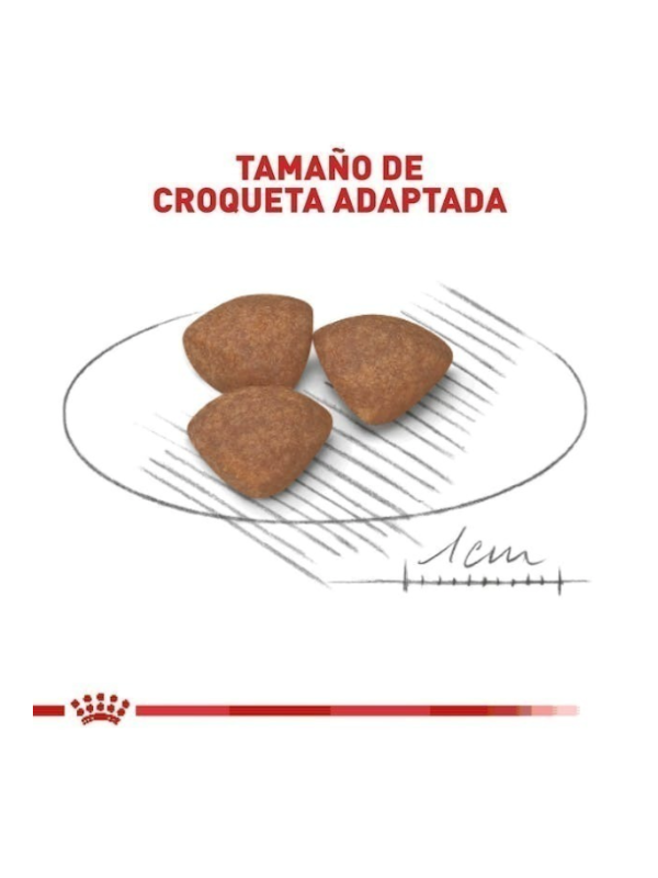 Alimento Seco para Cachorro Raza Pequeña Small Puppy  (341 g.) - Royal Canin