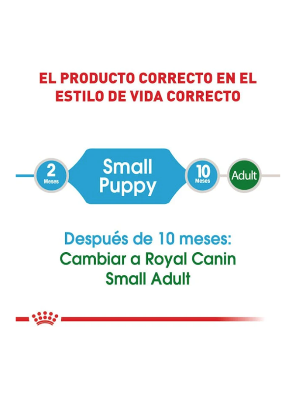 Alimento Seco para Cachorro Raza Pequeña Small Puppy  (341 g.) - Royal Canin