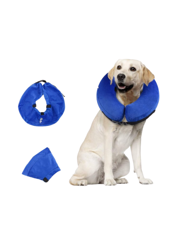 Collar Isabelino Inflable Talla Grande  - Kruuse
