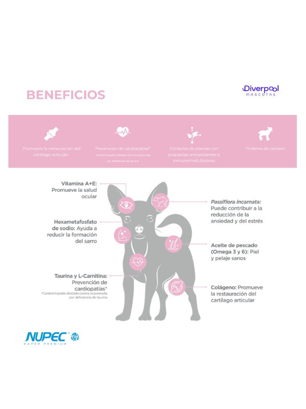 Alimento Seco Senior Raza Mini 1KG - Nupec