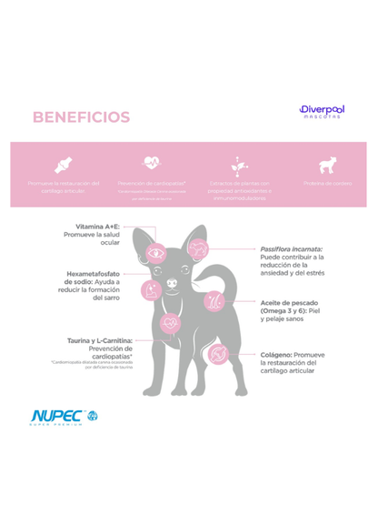 Alimento Seco Senior Raza Mini 1KG - Nupec