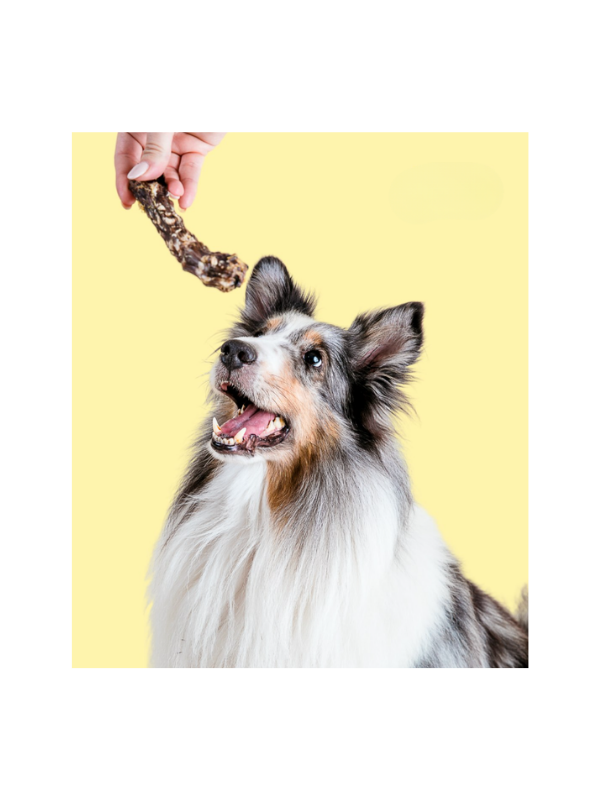 Snack para Perro Cuello de Pato Deshidratado -SQUACK
