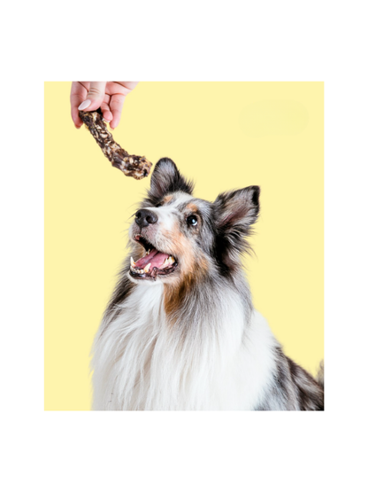 Snack para Perro Cuello de Pato Deshidratado -SQUACK