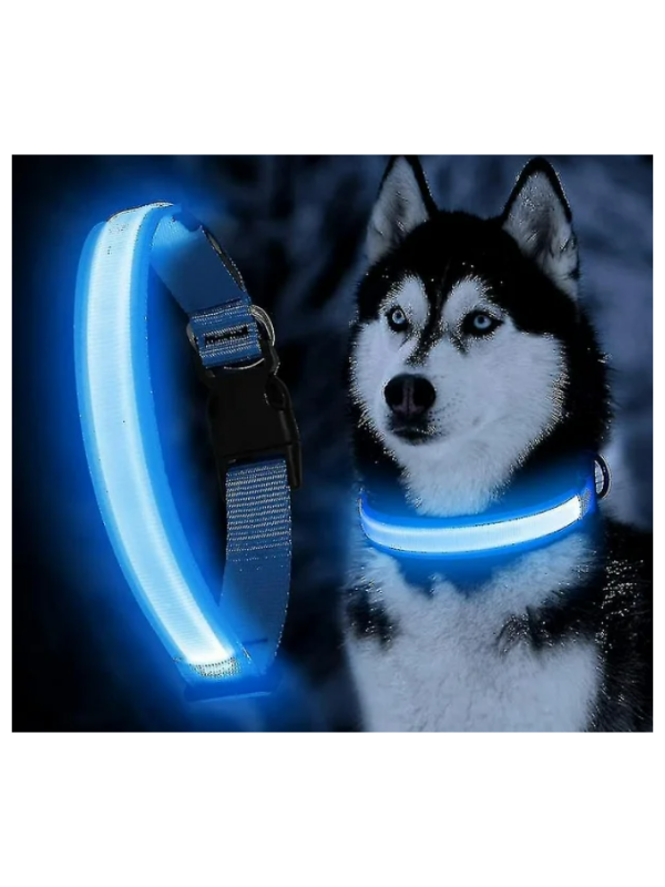 Collar para mascotas con luz led a base de pilas - KAINU