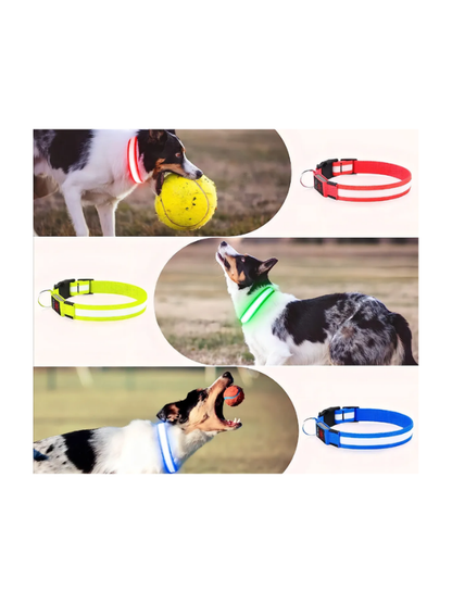 Collar para mascotas con luz led a base de pilas - KAINU