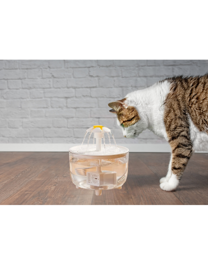 Fuente de agua transparente con flor para gatos y perros – KAINU