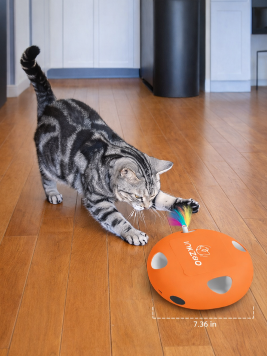 Juguete inteligente para gatos - KAINU