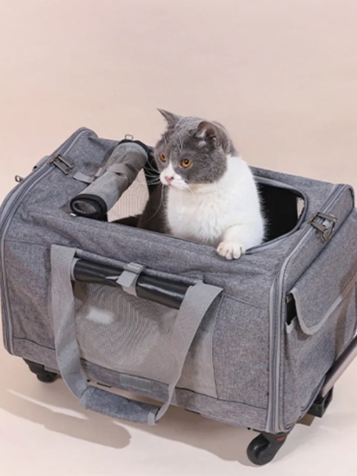 Transportadora de tela con rueditas tipo maleta - KAINU