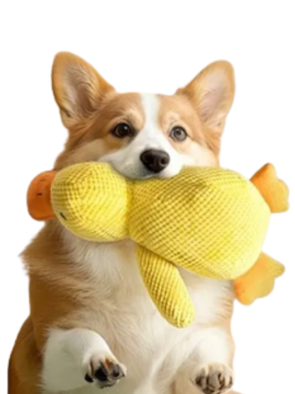 Peluche para mascotas en forma de pato S – KAINU