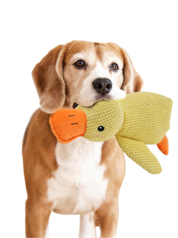 Peluche para mascotas en forma de pato L – KAINU