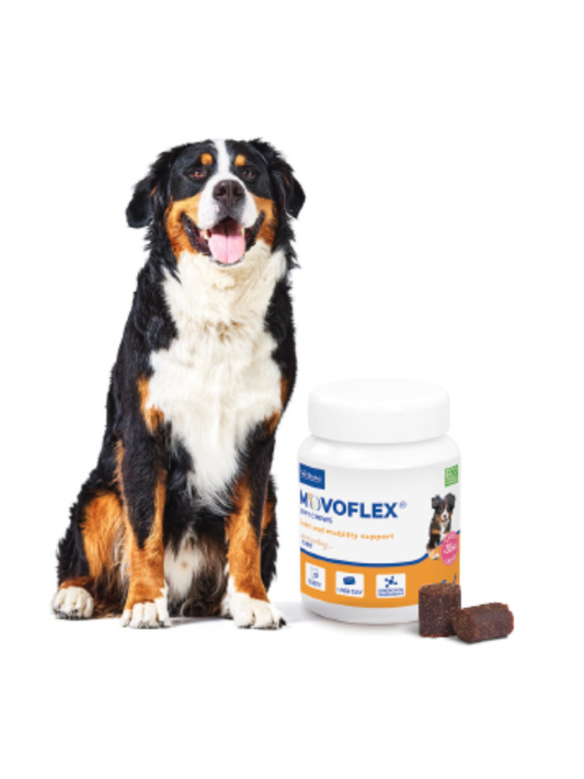 Movoflex Dog L 6g