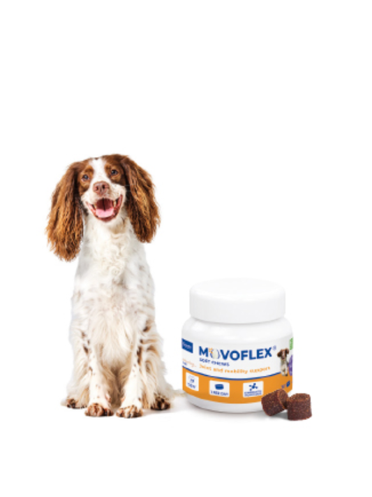 Movoflex Dog M 4g