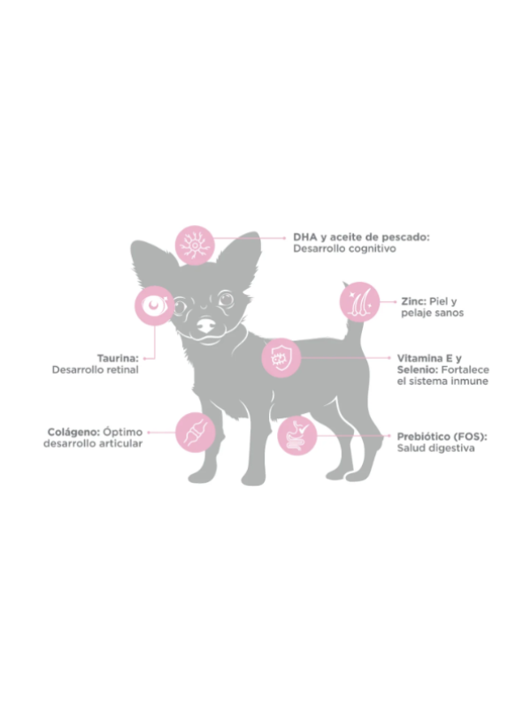 Alimento Seco para Cachorro Raza Mini 1KG - Nupec
