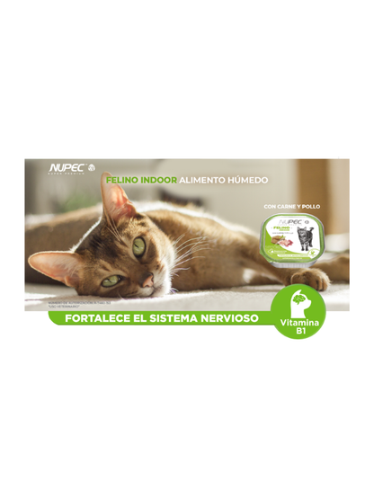 Cluster Felino Indoor 100g - Nupec