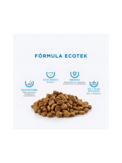 Alimento Seco Holistico Activo 2KG Super Premium- KANTEK